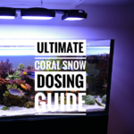 Coral Snow: Extreme Water Clarity and Cyano Eradication, Made Easy!